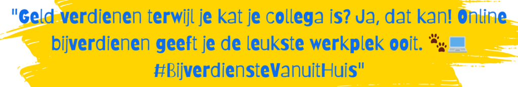 Geld Verdienen Snel disclaimer